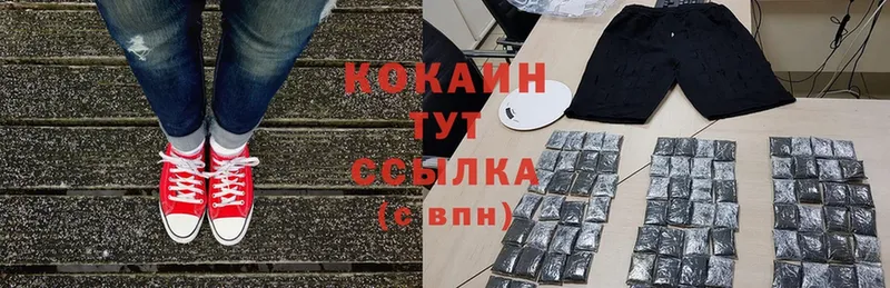 КОКАИН Fish Scale  где продают   Почеп 